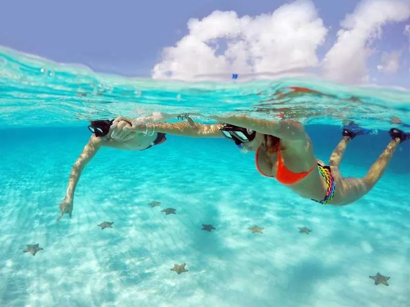 Ventanas Al Mar Beach Front Cozumel (Adults Only) Hotel