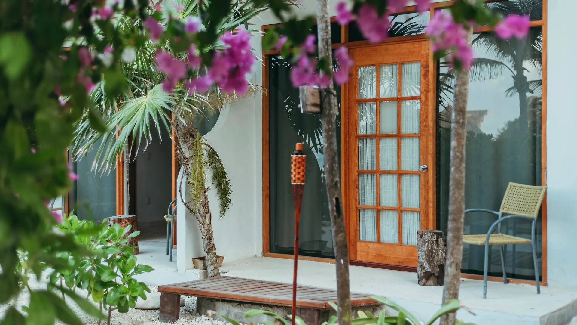 **** Hotel Ventanas Al Mar Beach Front Cozumel (Adults Only) Mexico