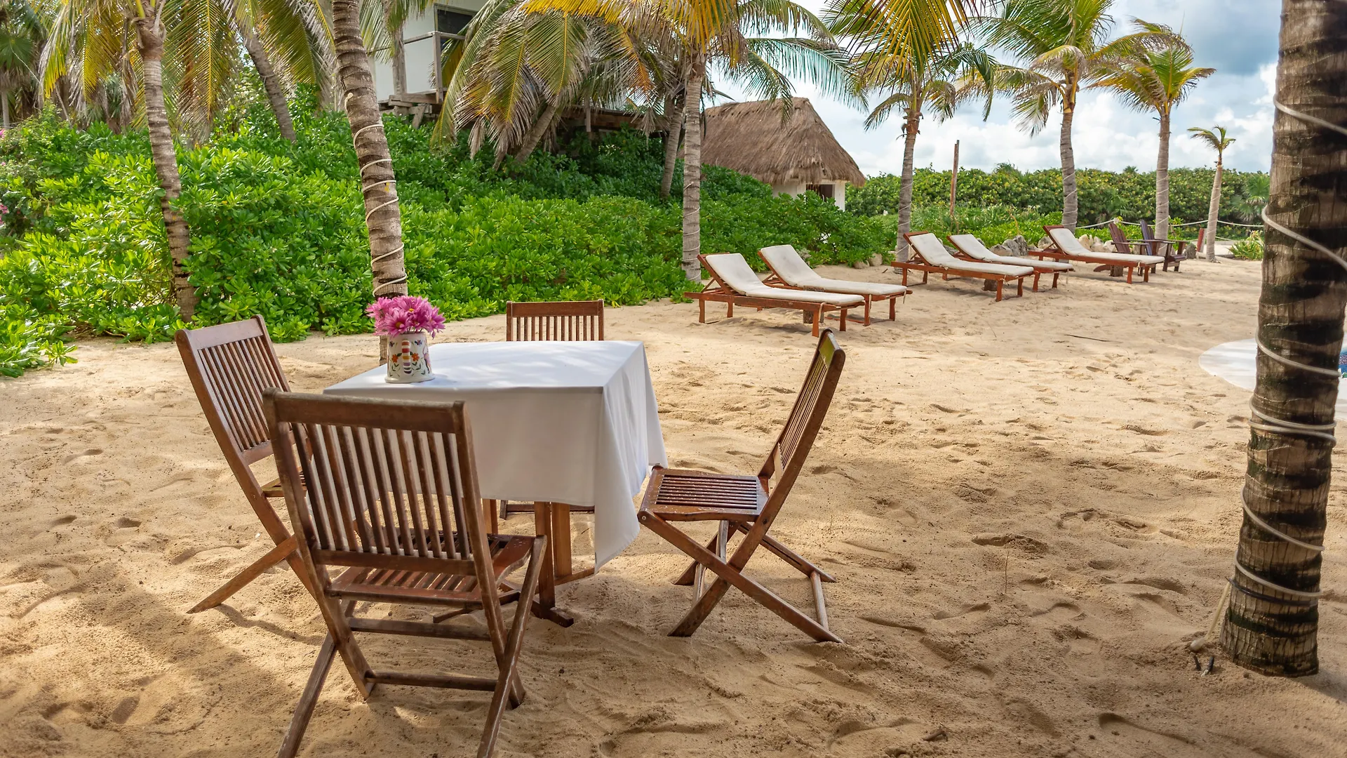 Hotel Ventanas Al Mar Beach Front Cozumel (Adults Only)