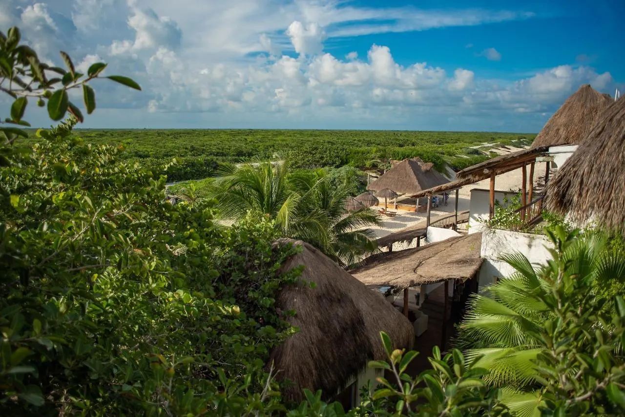 Ventanas Al Mar Beach Front Cozumel (Adults Only) Hotel